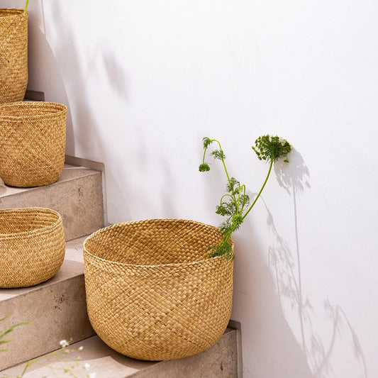 Woven baskets with plants on a staircase against a white wall