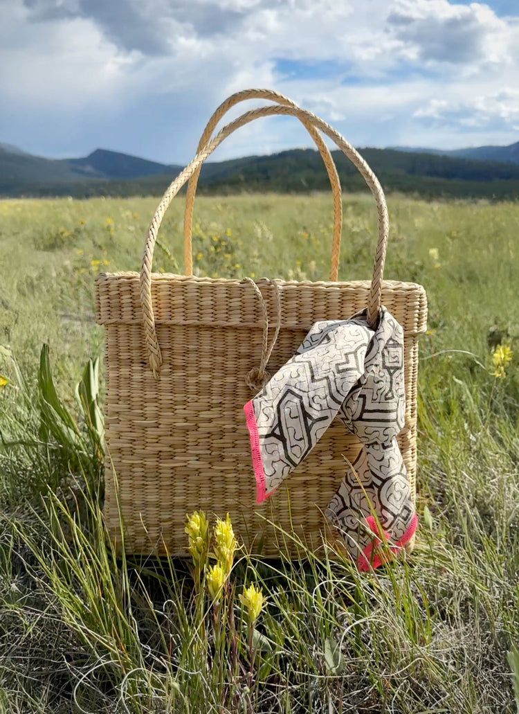 Mountaintop Picnic