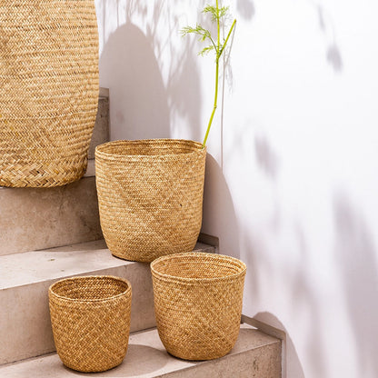 Set of woven baskets on a staircase with a white wall and plants in the background