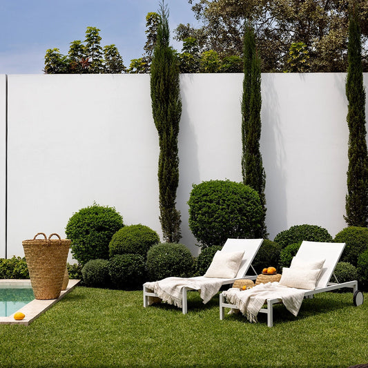 Two lounge chairs by a pool with a white wall and greenery in the background