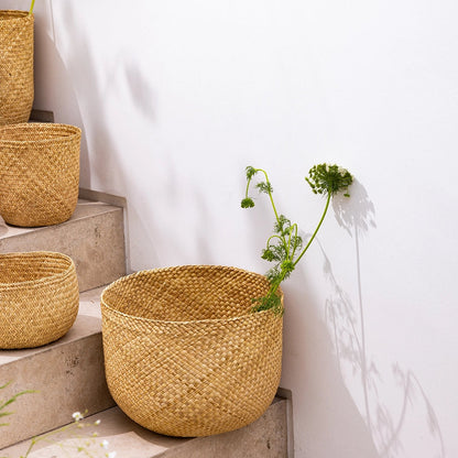 Woven baskets with plants on a staircase against a white wall
