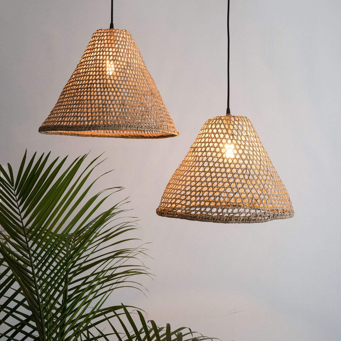 Jungle Basket Light